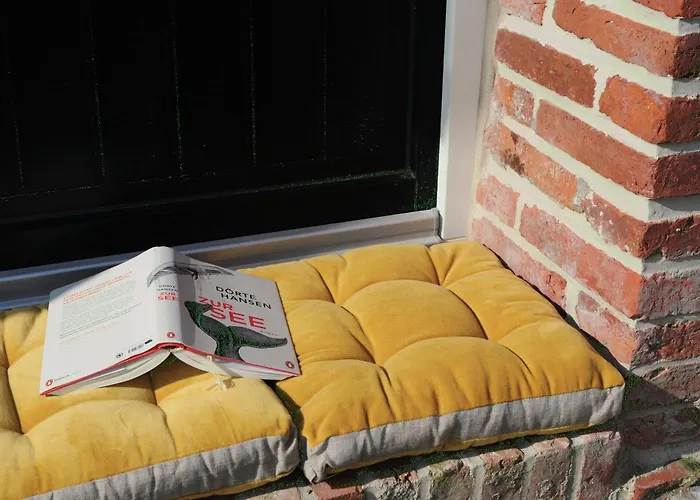 Senden 6 Anton * Krummhörn